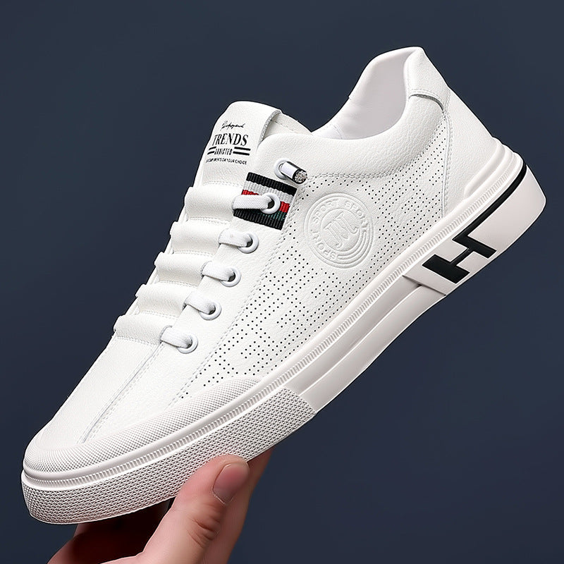 FILIPPO - ZAPATILLAS CASUALS - EDICIÓN LIMITADA